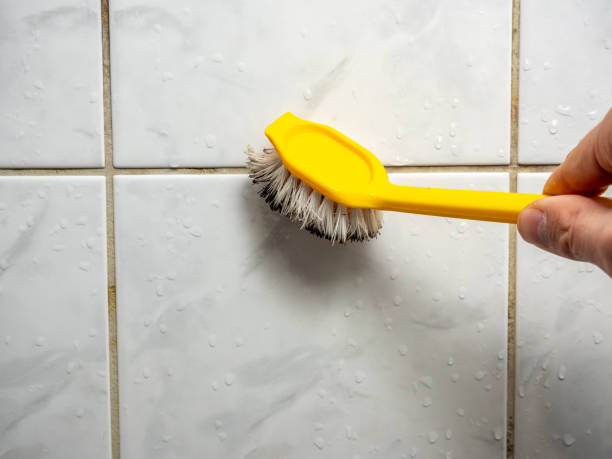 Best Professional Mold Removal  in Verona, MS