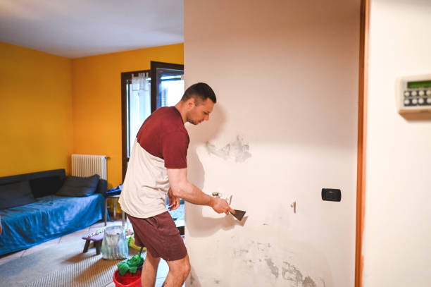 Best Mold Cleaning Services  in Verona, MS